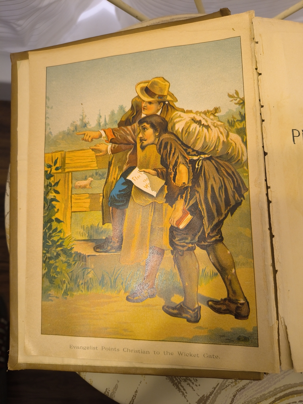 Rear Collectable Book - Picture 8 of 14